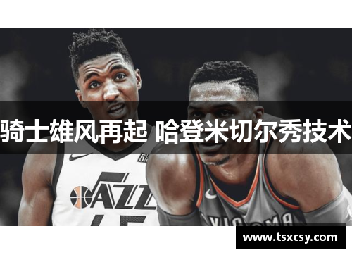 骑士雄风再起 哈登米切尔秀技术